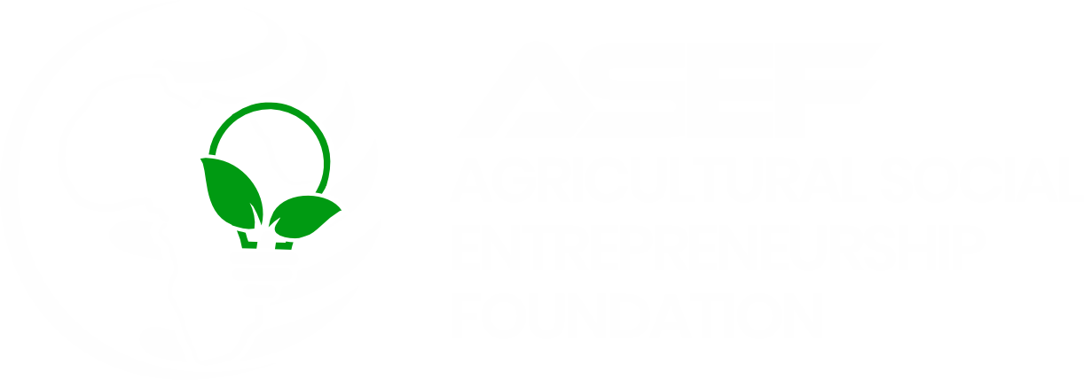 ASEF International